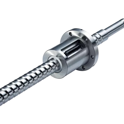 ������ϵ��